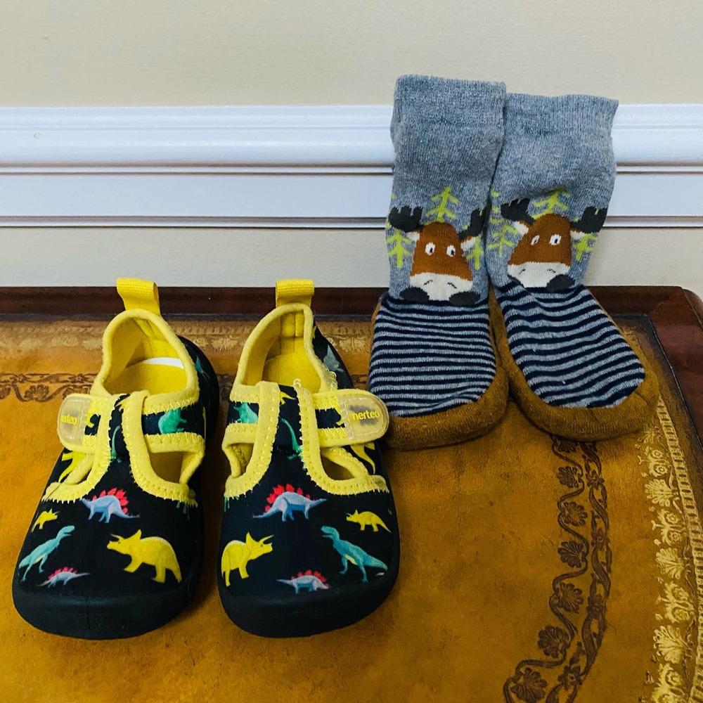 Nerteo Dinosaur Water Shoes and Moose Slippers